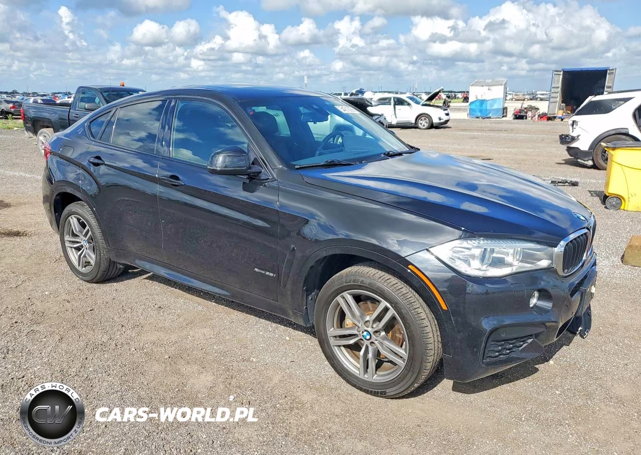 2016 BMW X6 xDrive35I VIN:5UXKU2C53G0N80210 - 4