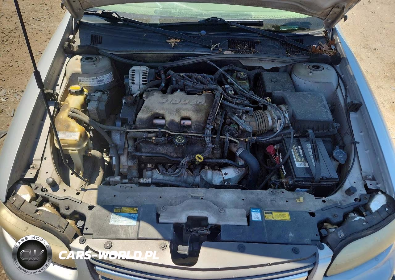 2001 Chevrolet Malibu VIN:1G1ND52J016261536 - 11