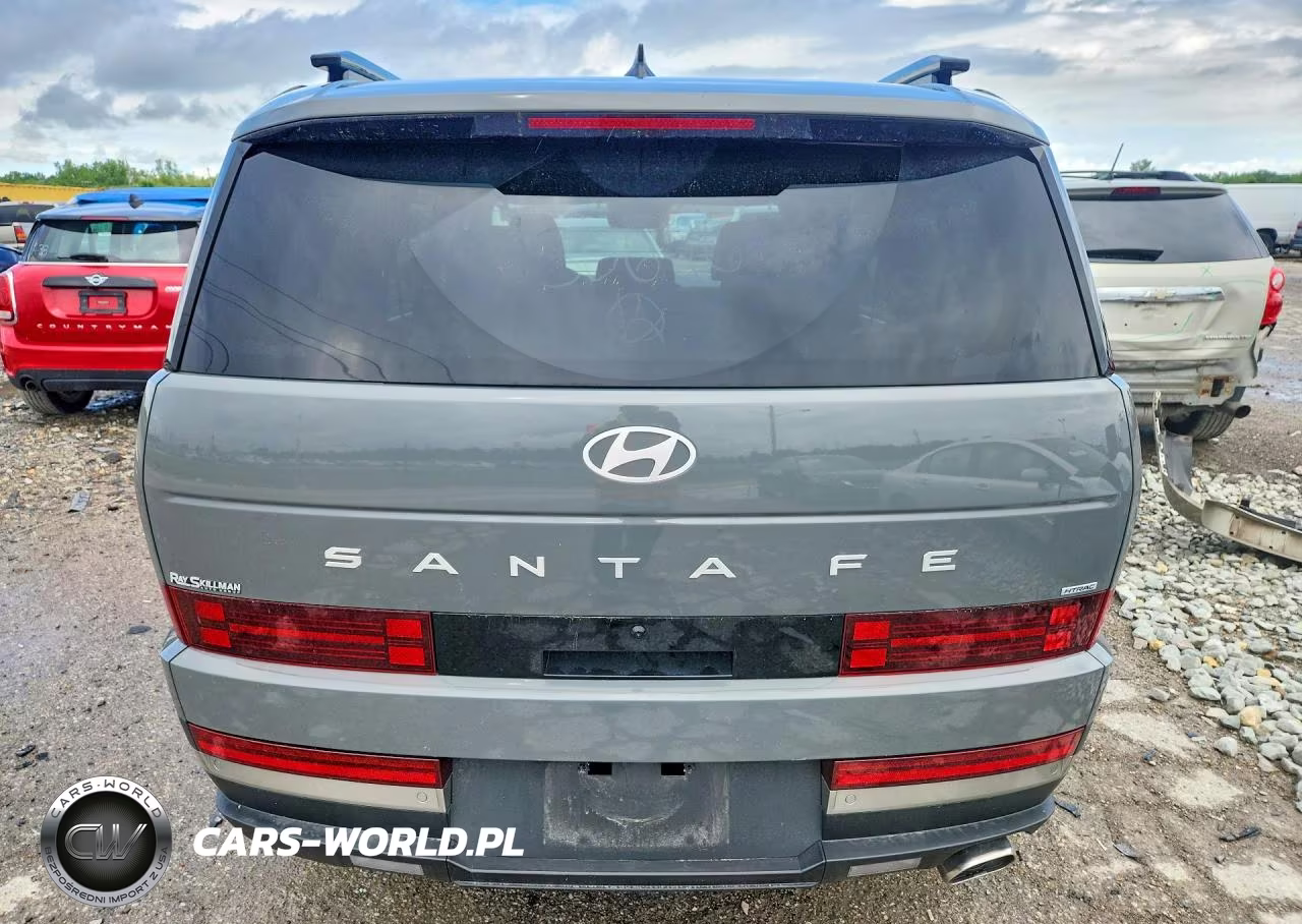 2025 Hyundai Santa Fe Limited VIN:5NMP4DGL3SH130626 - 6