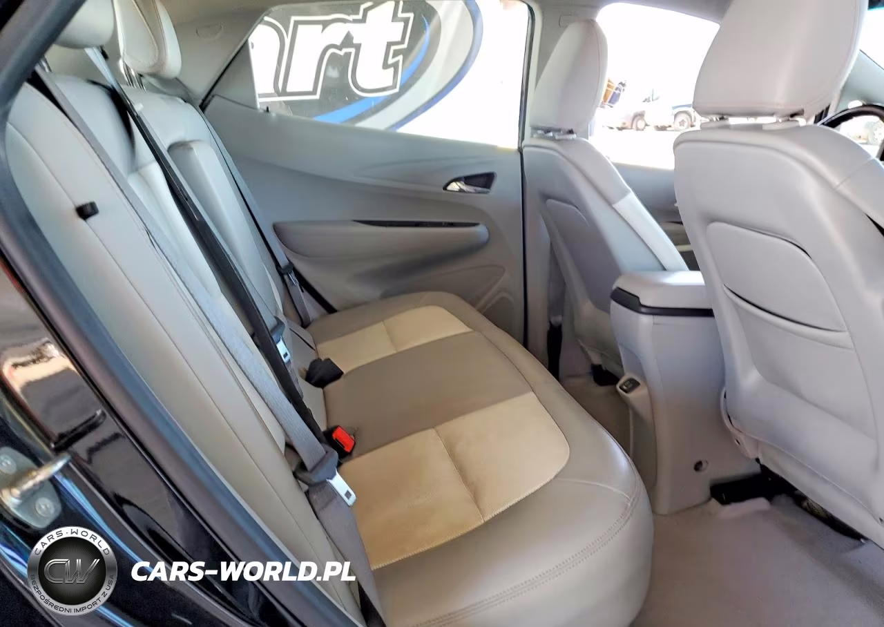 2019 Chevrolet Bolt Ev Premier VIN:1G1FX6S04K4139283 - 10