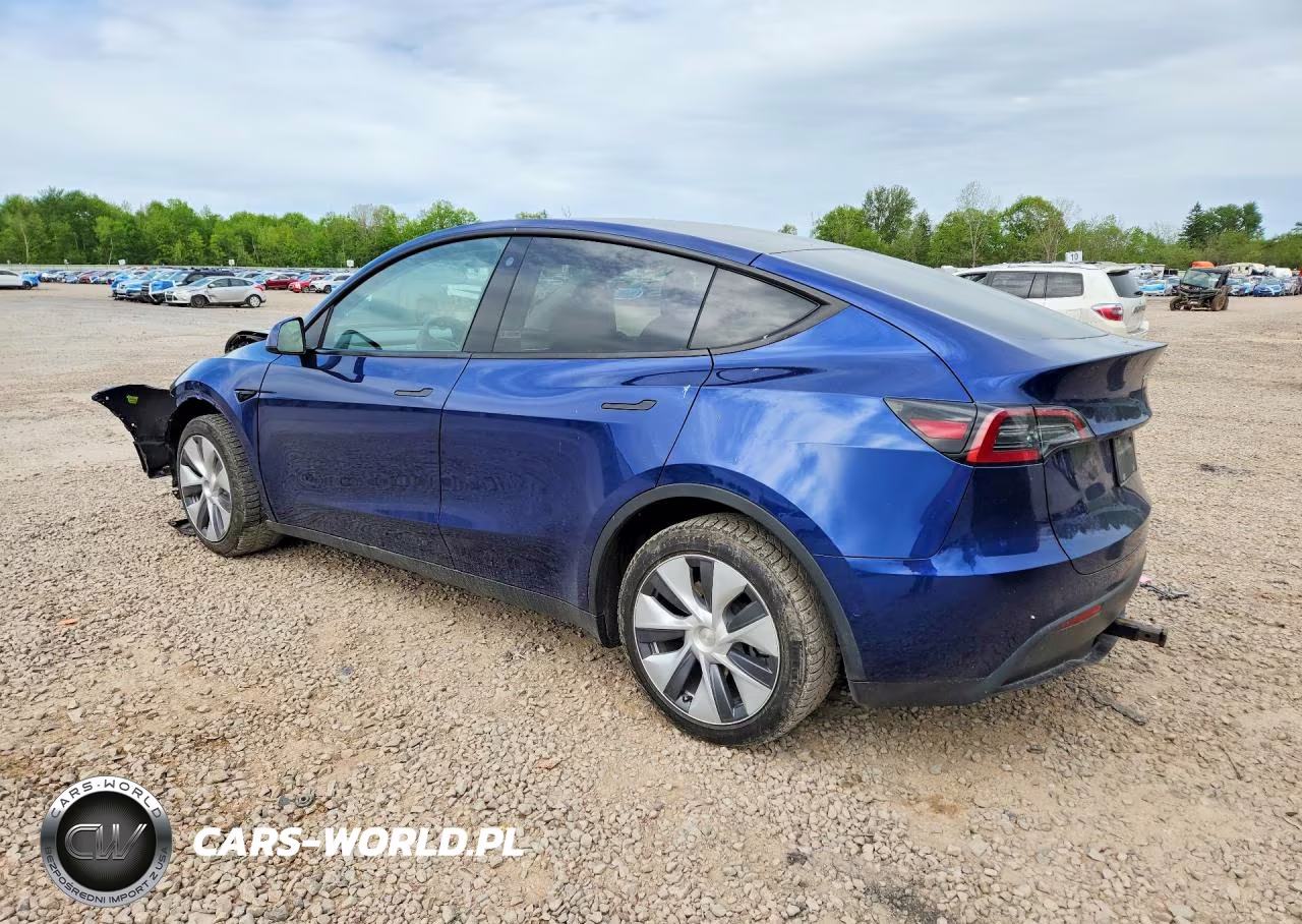 2022 Tesla Model Y VIN:7SAYGDEE7NA010186 - 2