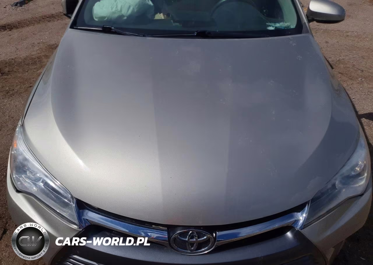 2016 Toyota Camry Le VIN:4T4BF1FK9GR557418 - 11