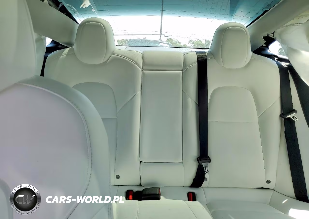 2020 Tesla Model 3 VIN:5YJ3E1EB3LF667813 - 10