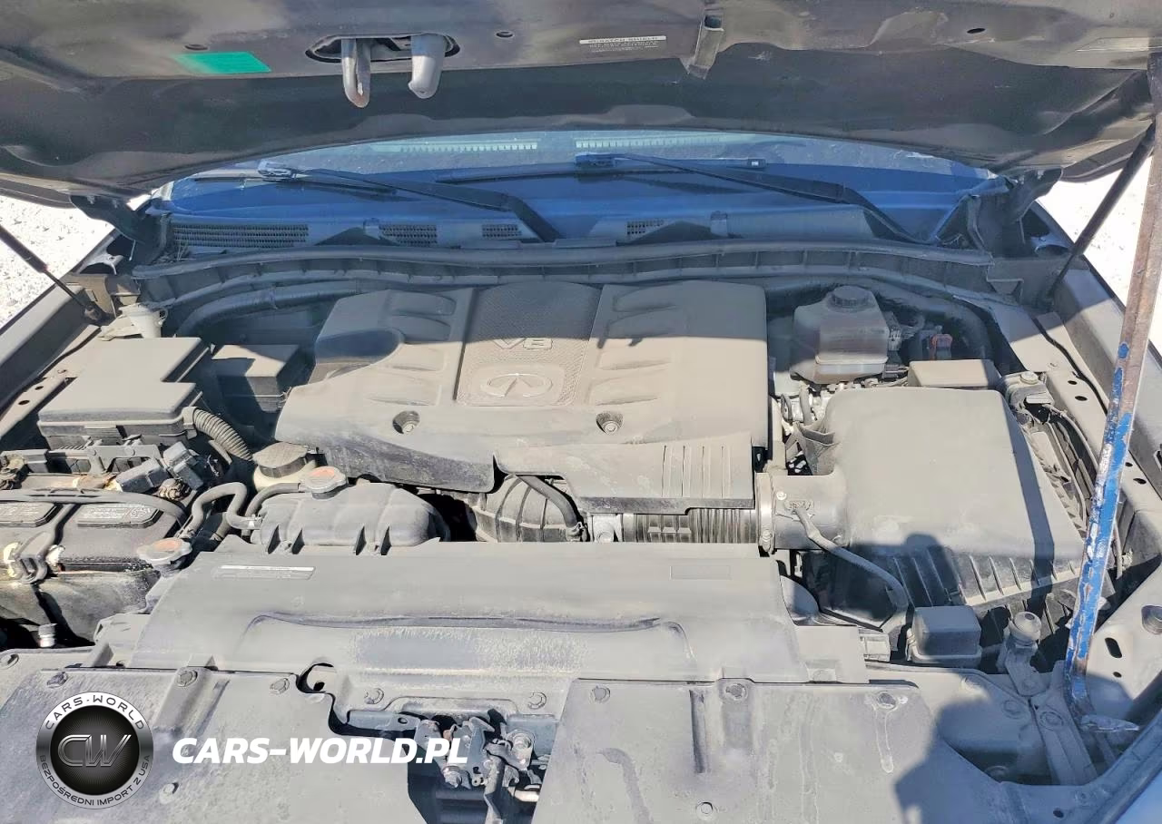 2019 Infiniti Qx80 Luxe VIN:JN8AZ2NE1K9233026 - 12