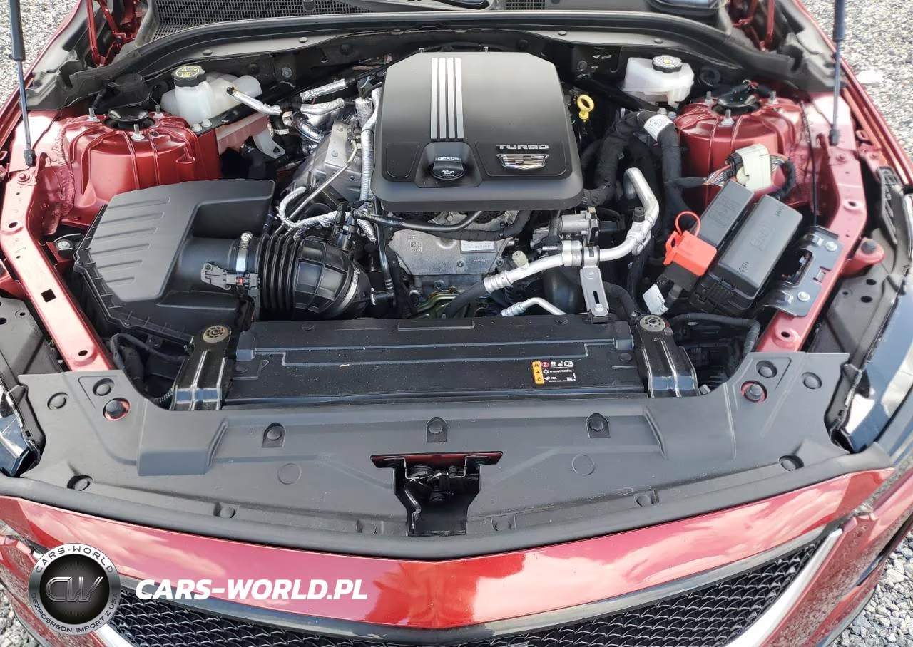 2023 Cadillac Ct5 Sport VIN:1G6DP5RK9P0126661 - 11