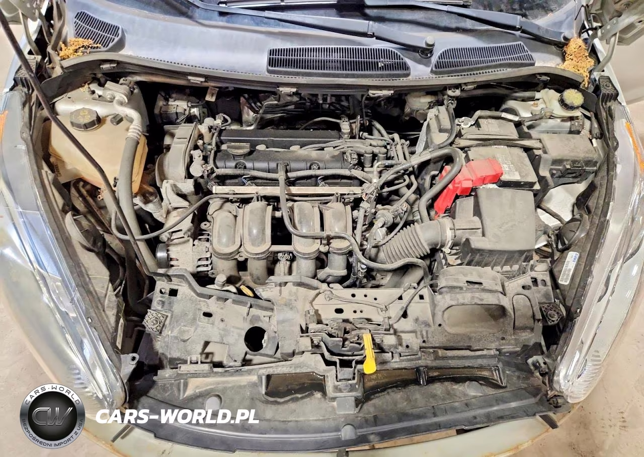 2016 Ford Fiesta Se VIN:3FADP4BJ0GM163061 - 11