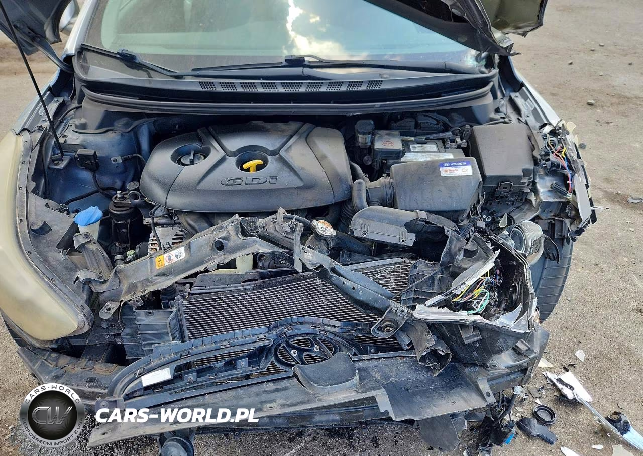 2014 Hyundai Elantra Sport VIN:KMHDH4AH3EU158804 - 11