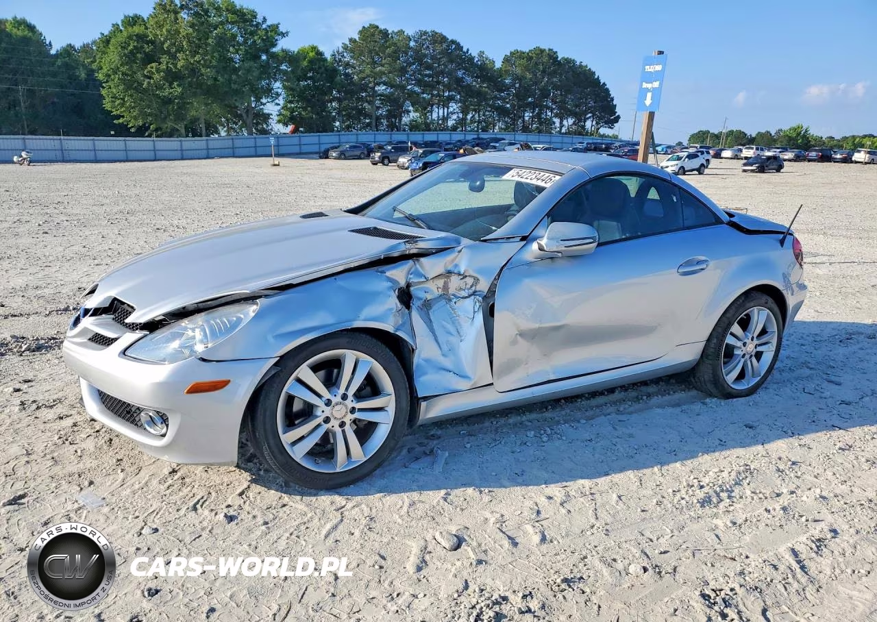 2010 Mercedes-Benz Slk 300