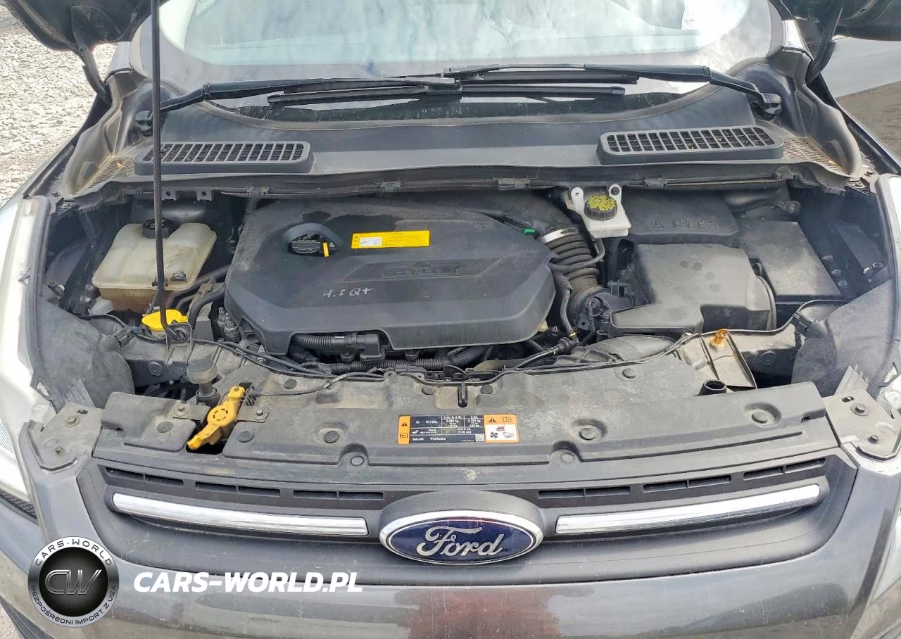 2016 Ford Escape Se VIN:1FMCU9GX5GUA20610 - 12