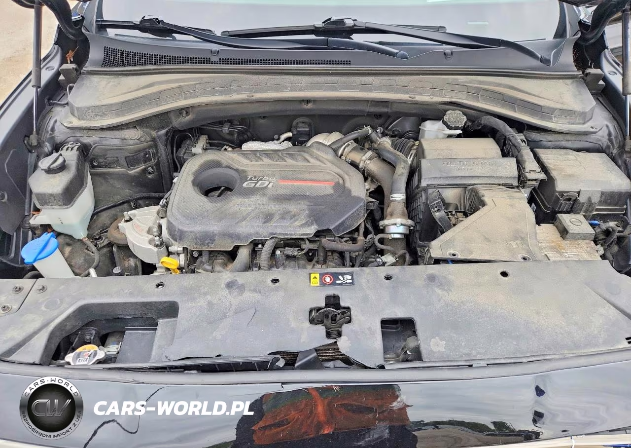 2020 Hyundai Santa Fe Limited 2.0T VIN:5NMS5CAA8LH241280 - 12