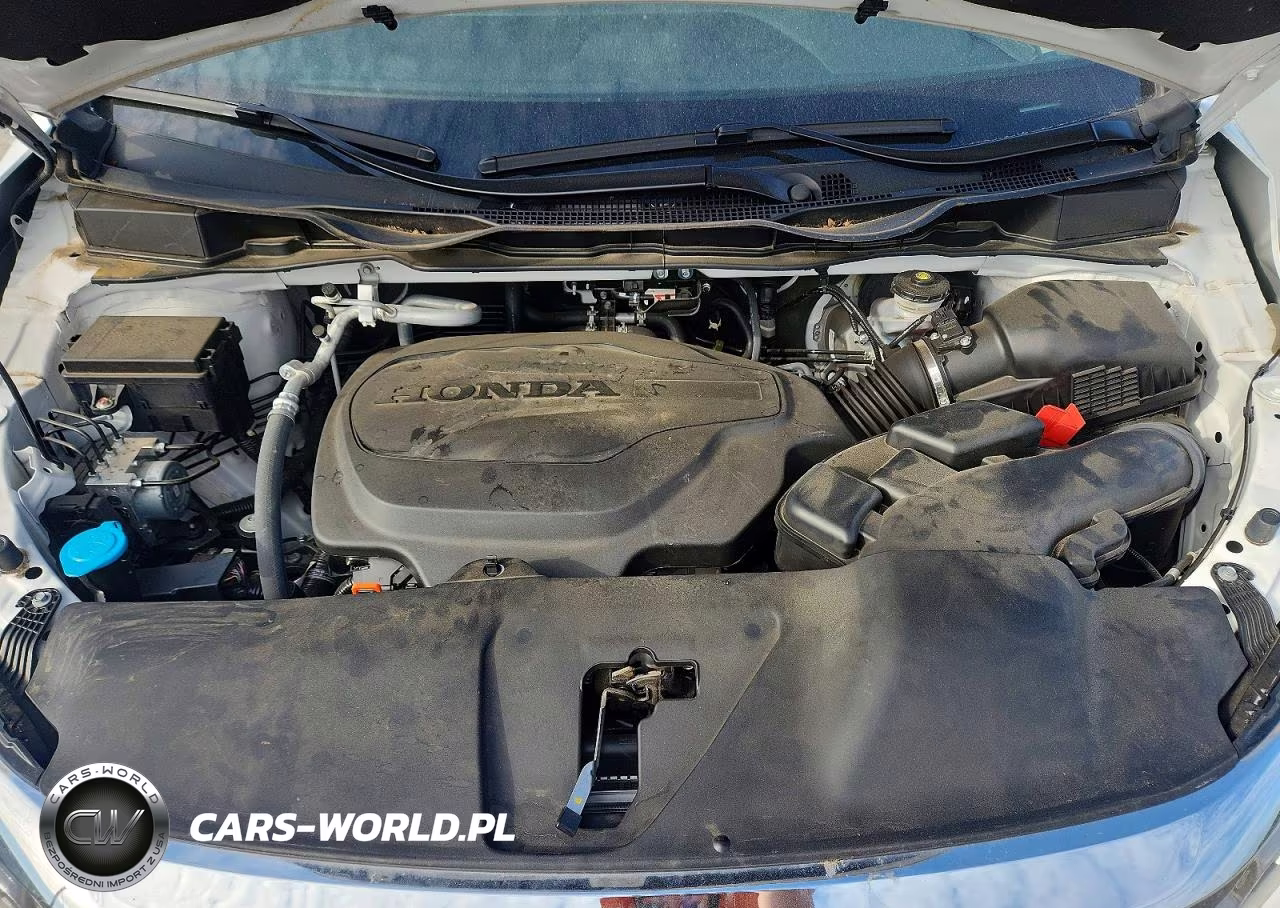 2024 Honda Odyssey Exl VIN:5FNRL6H68RB068152 - 12