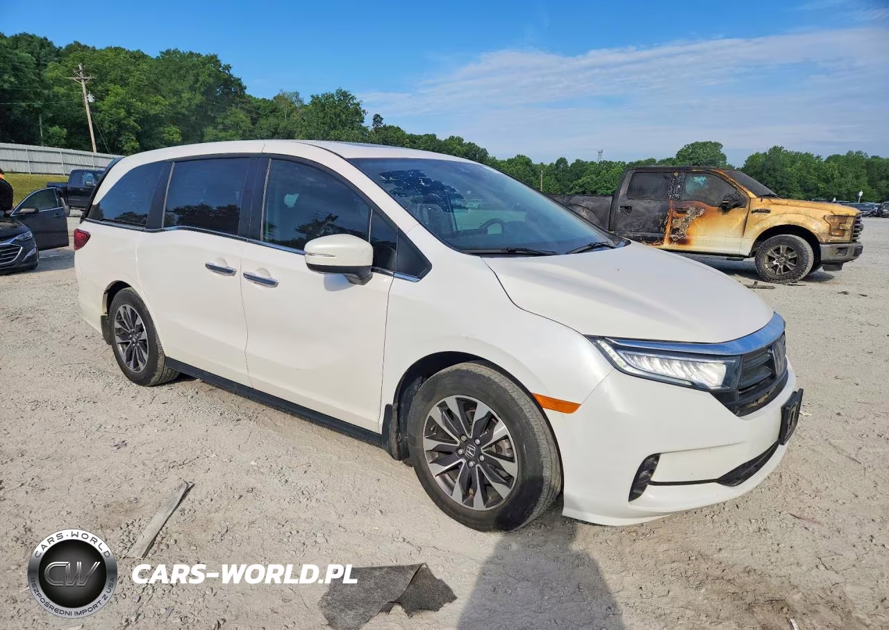 2024 Honda Odyssey Exl VIN:5FNRL6H68RB068152 - 4