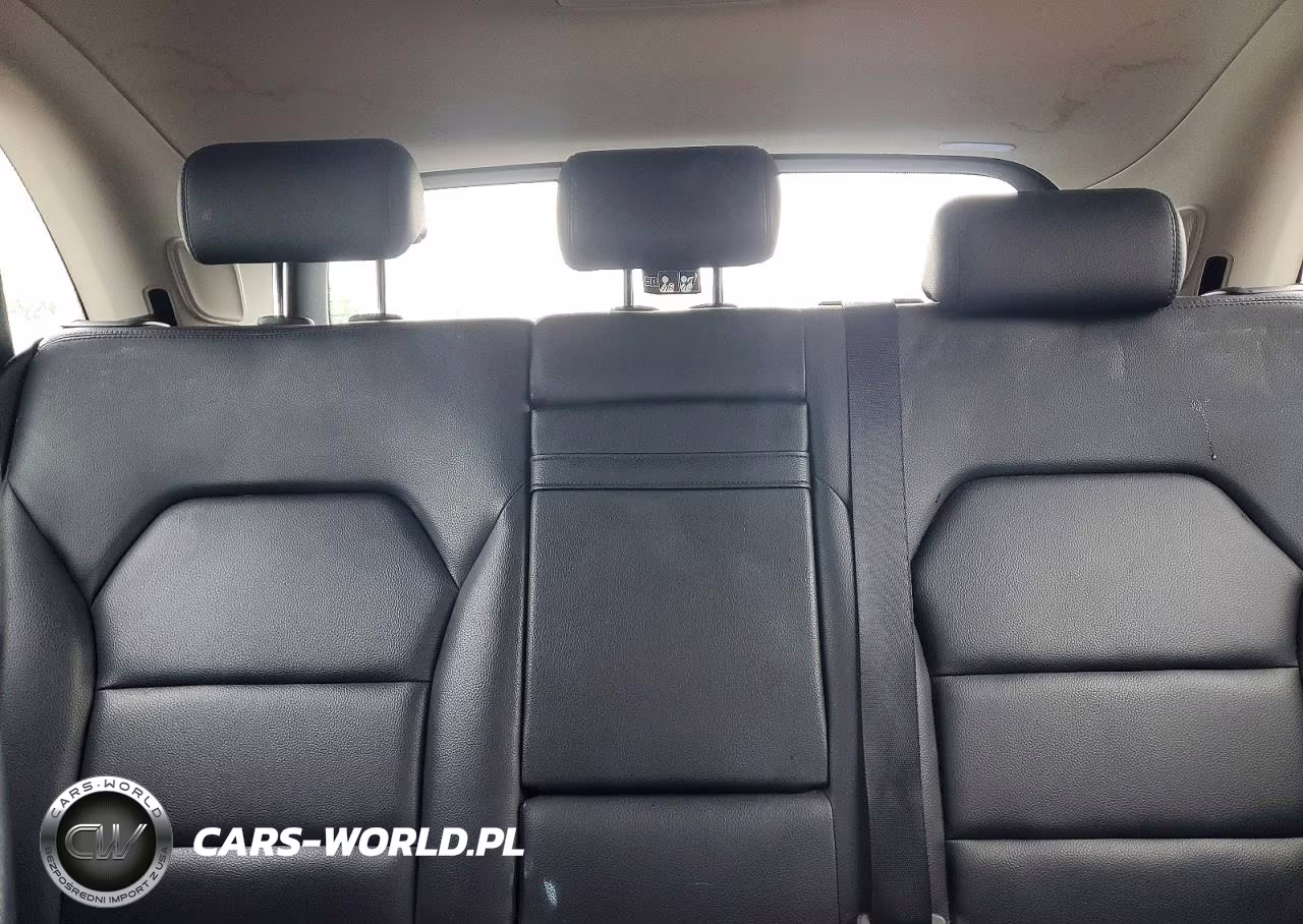 2014 Mercedes-Benz B Electric VIN:WDDVP9AB3EJ001656 - 10