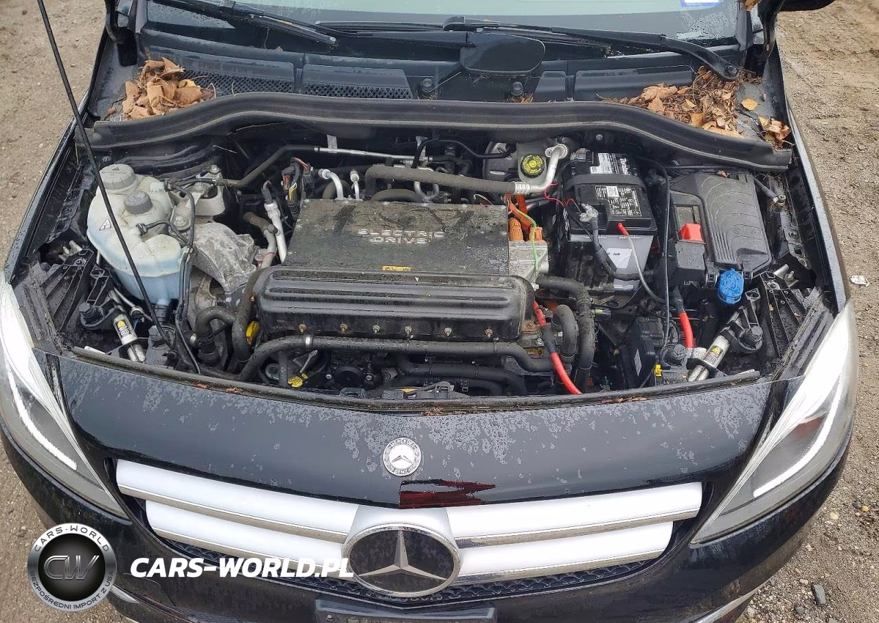 2014 Mercedes-Benz B Electric VIN:WDDVP9AB3EJ001656 - 12