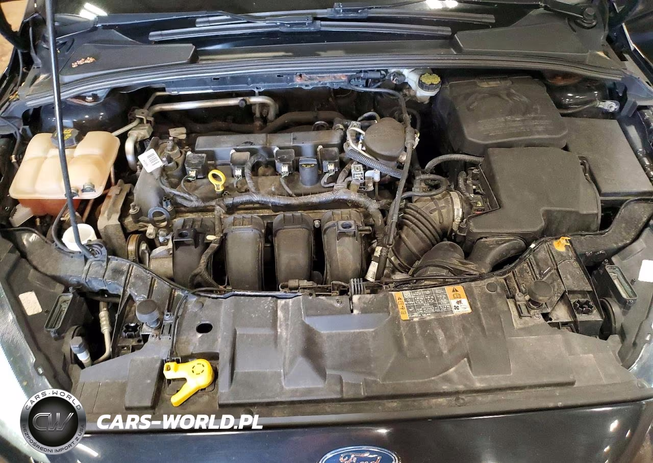 2016 Ford Focus Se VIN:1FADP3F29GL239777 - 11