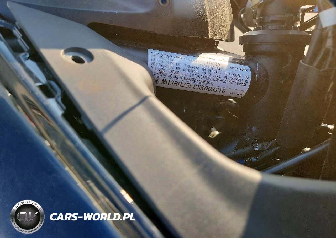2025 Yamaha Yfz320 A VIN:MH3RH25E6SK003218 - 9