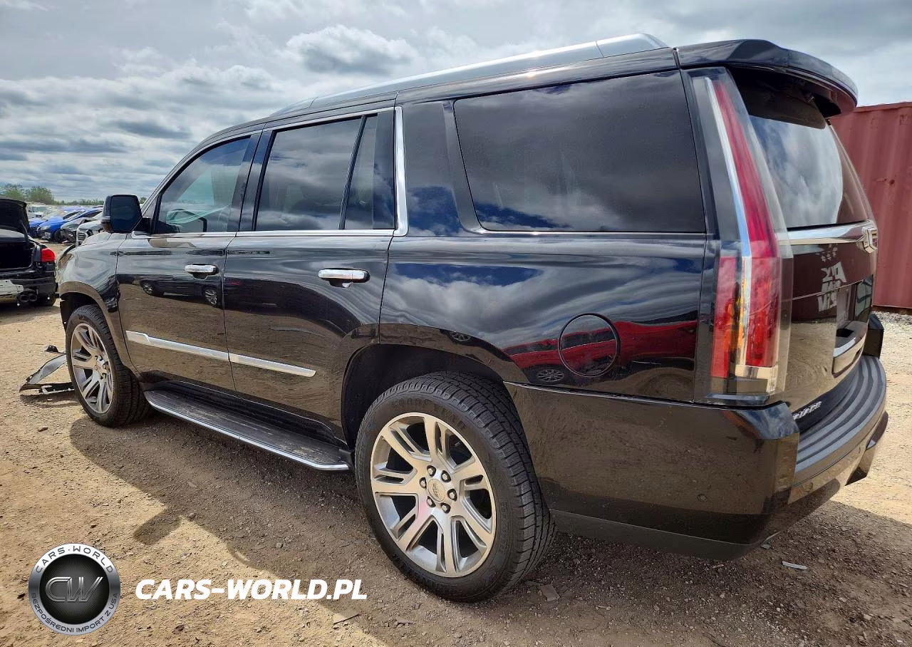 2019 Cadillac Escalade Luxury VIN:1GYS4BKJ4KR395565 - 2