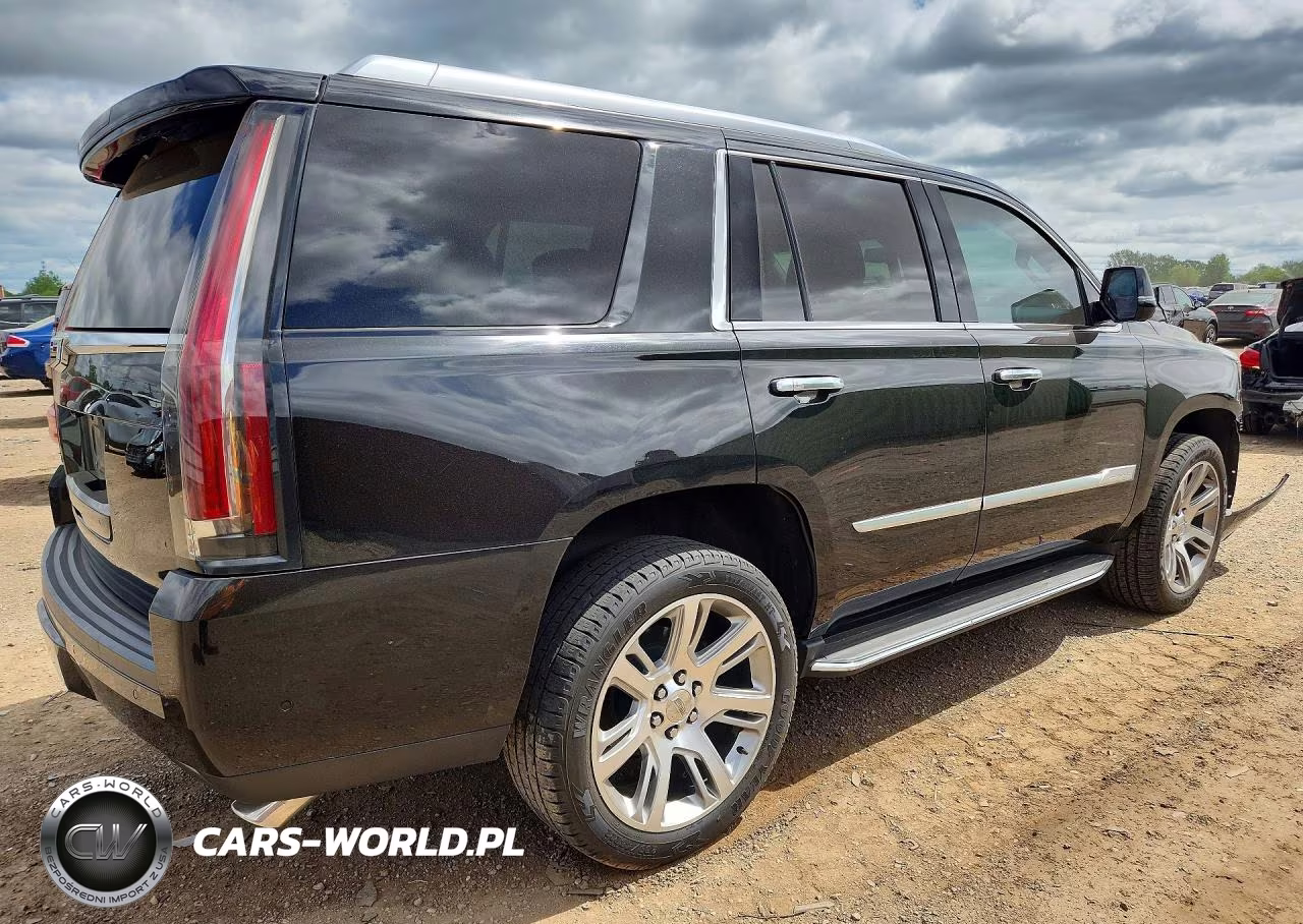 2019 Cadillac Escalade Luxury VIN:1GYS4BKJ4KR395565 - 3
