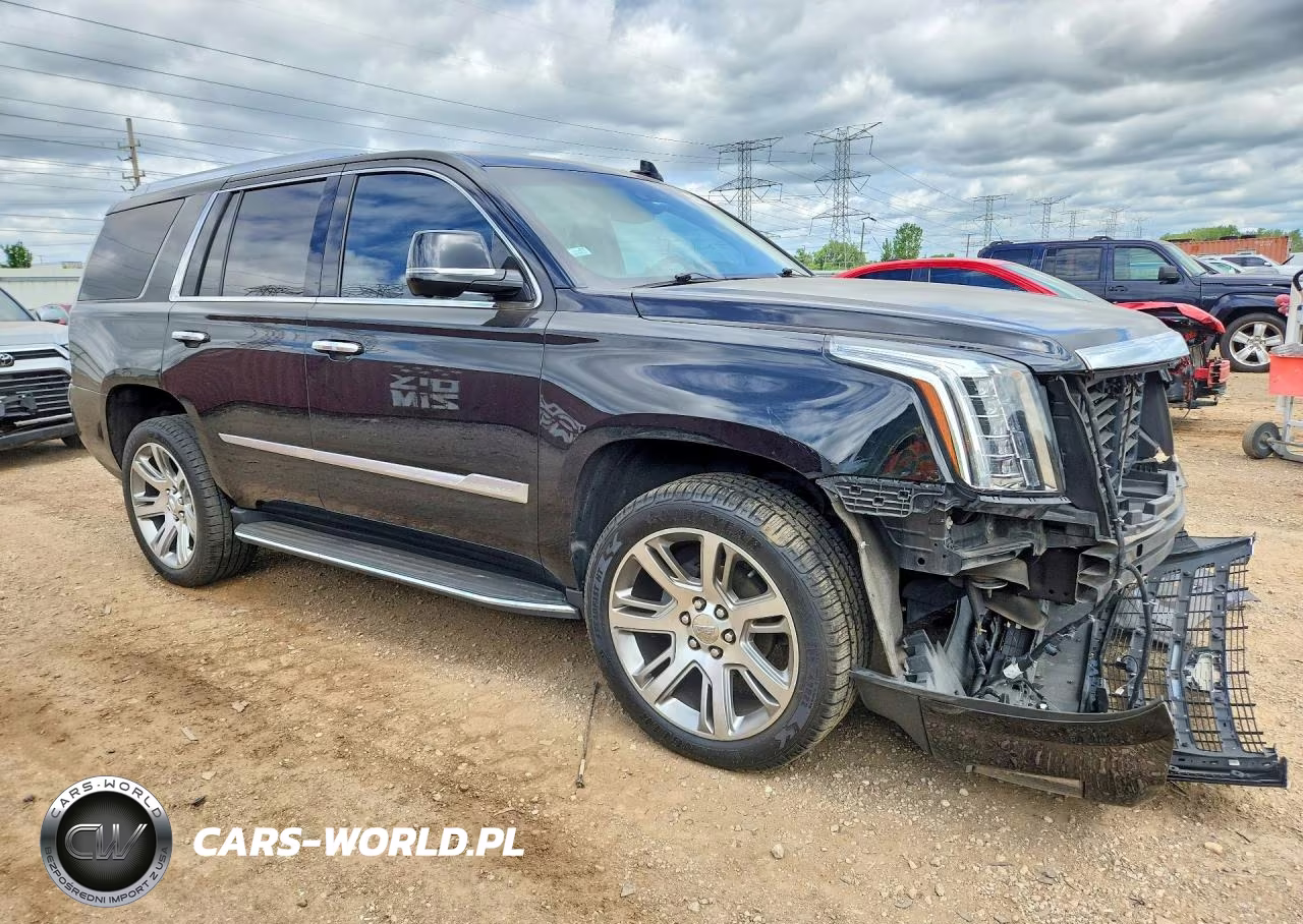 2019 Cadillac Escalade Luxury VIN:1GYS4BKJ4KR395565 - 4
