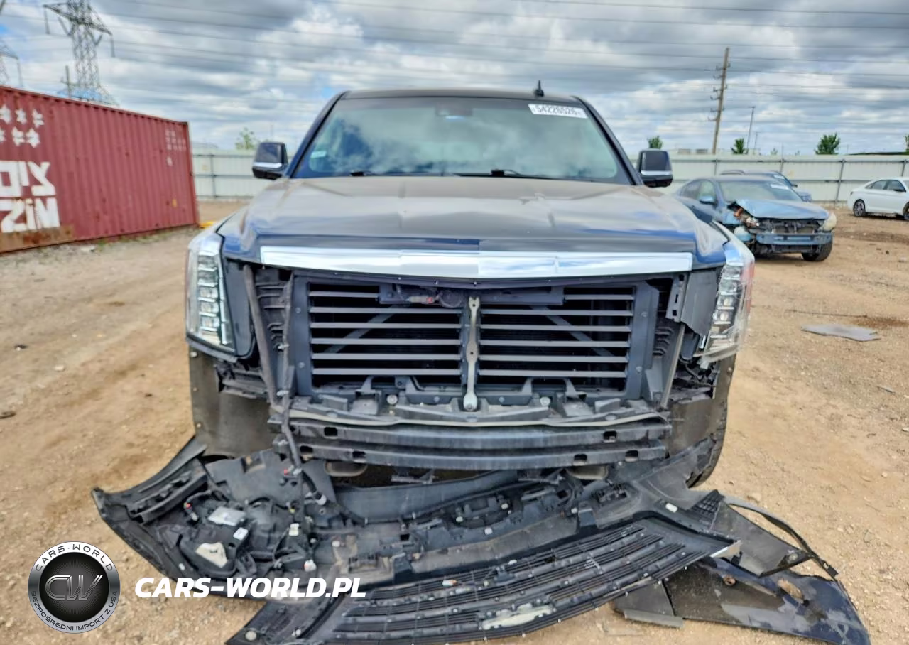 2019 Cadillac Escalade Luxury VIN:1GYS4BKJ4KR395565 - 5