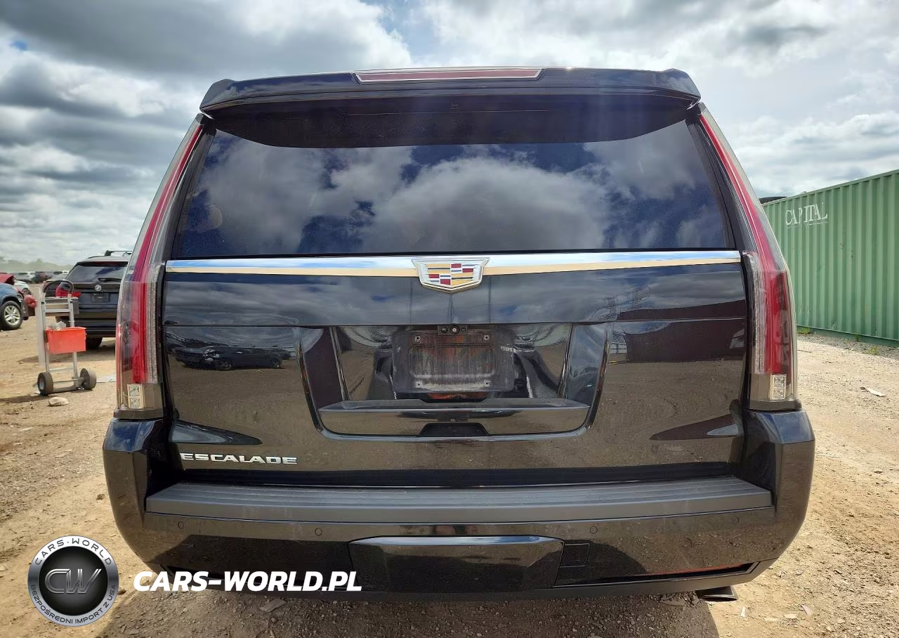2019 Cadillac Escalade Luxury VIN:1GYS4BKJ4KR395565 - 6