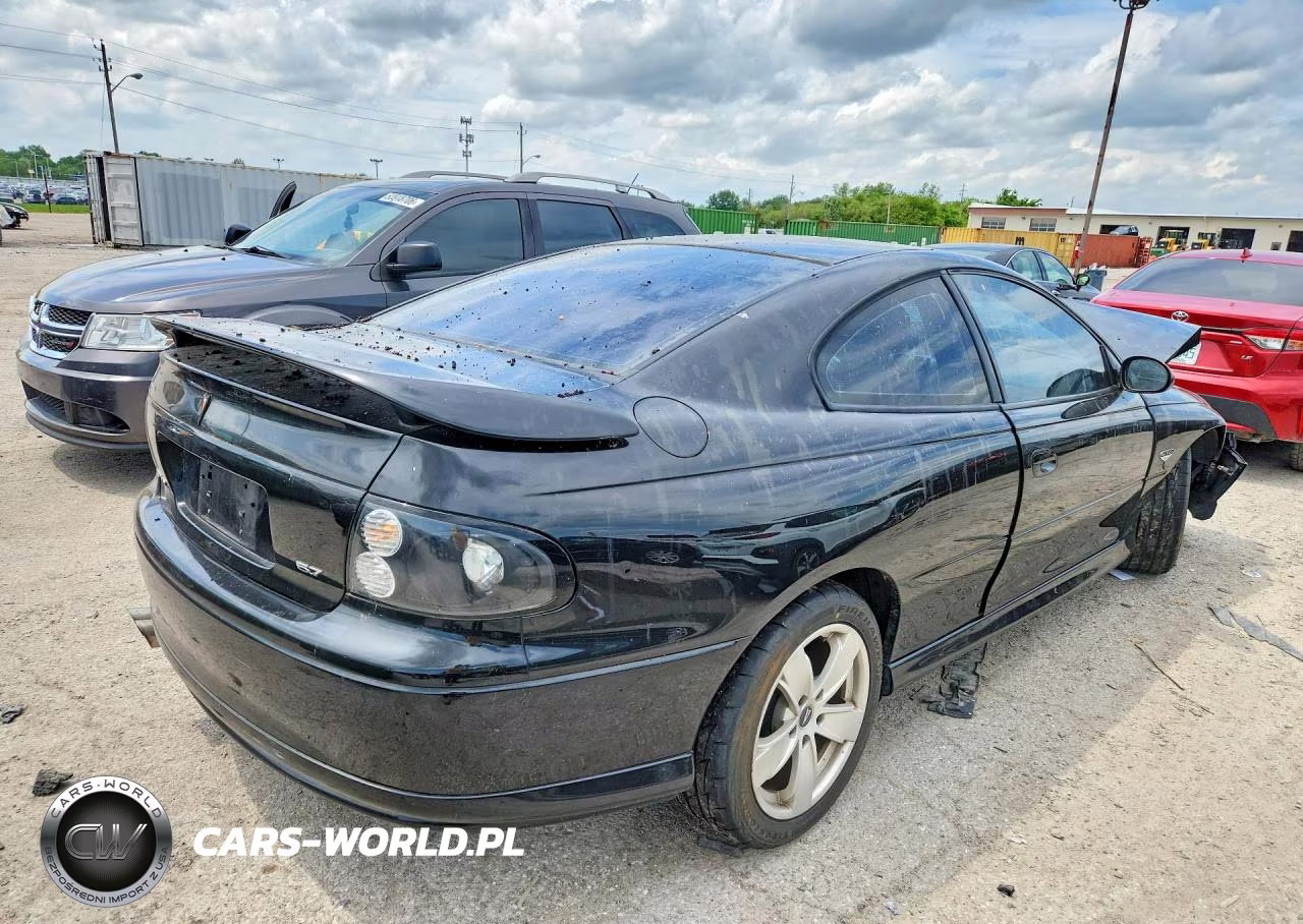 2004 Pontiac Gto VIN:6G2VX12G64L225231 - 3