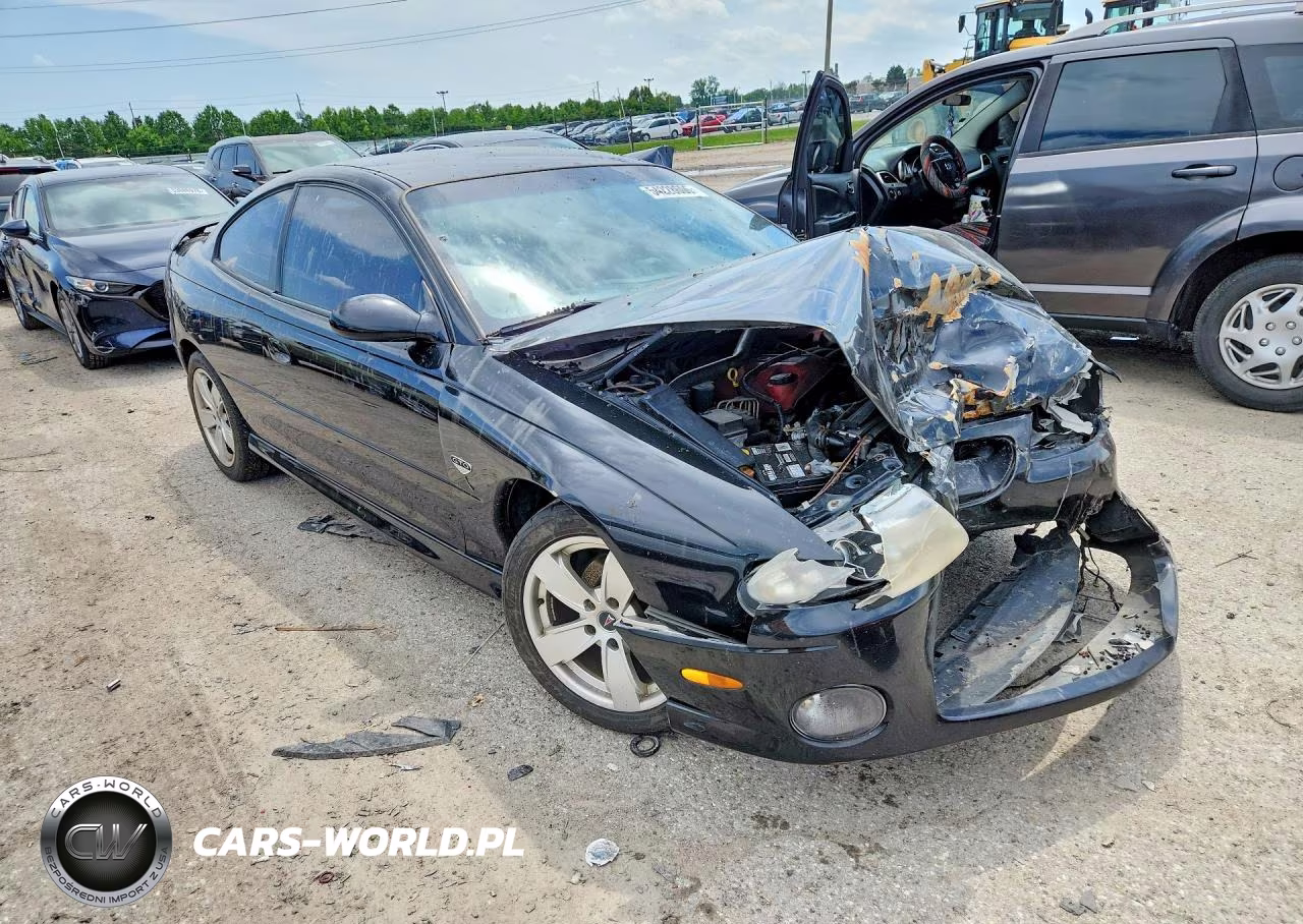 2004 Pontiac Gto VIN:6G2VX12G64L225231 - 4