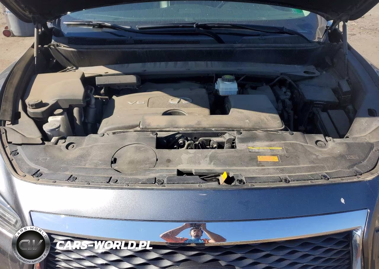 2019 Infiniti Qx60 Luxe VIN:5N1DL0MM7KC524958 - 12