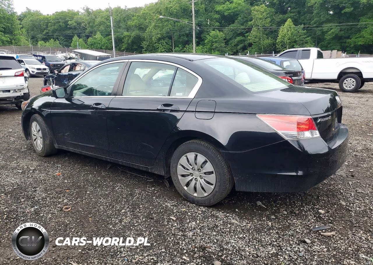 2010 Honda Accord Lx VIN:1HGCP2F36AA099605 - 2