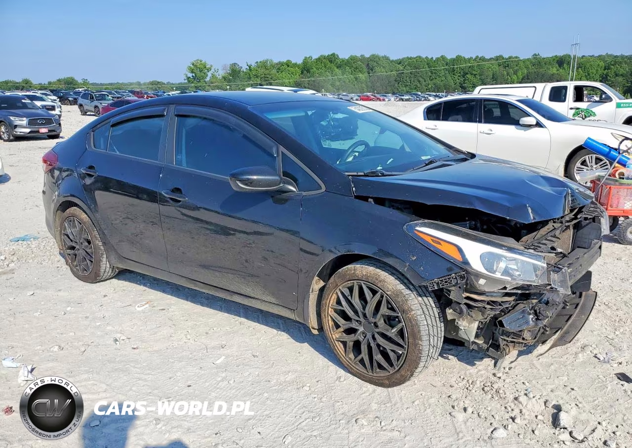 2018 Kia Forte Lx VIN:3KPFL4A77JE195804 - 4