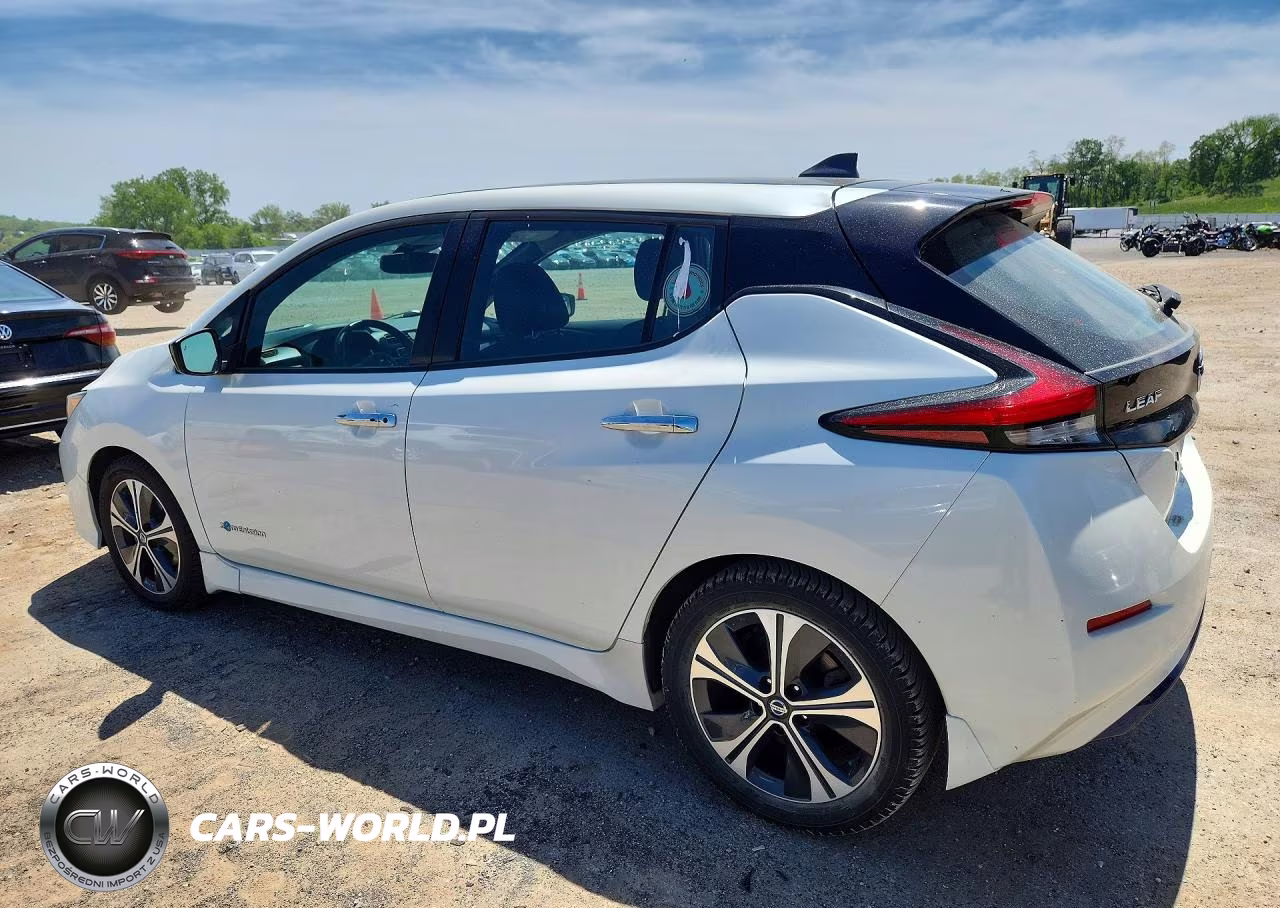 2019 Nissan Leaf Sv VIN:1N4AZ1CP9KC314424 - 2
