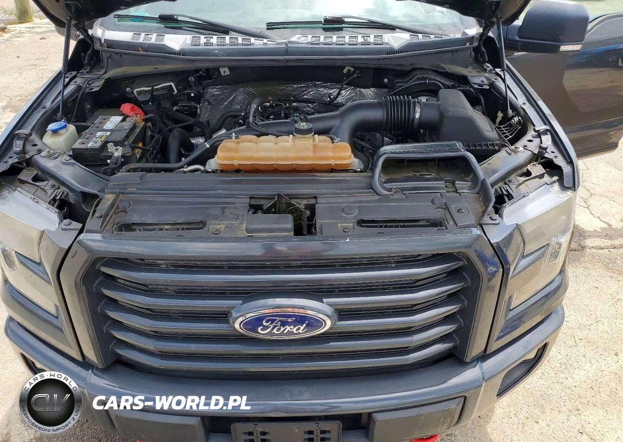 2016 Ford F150 Supercrew VIN:1FTEW1EP3GFC99359 - 11
