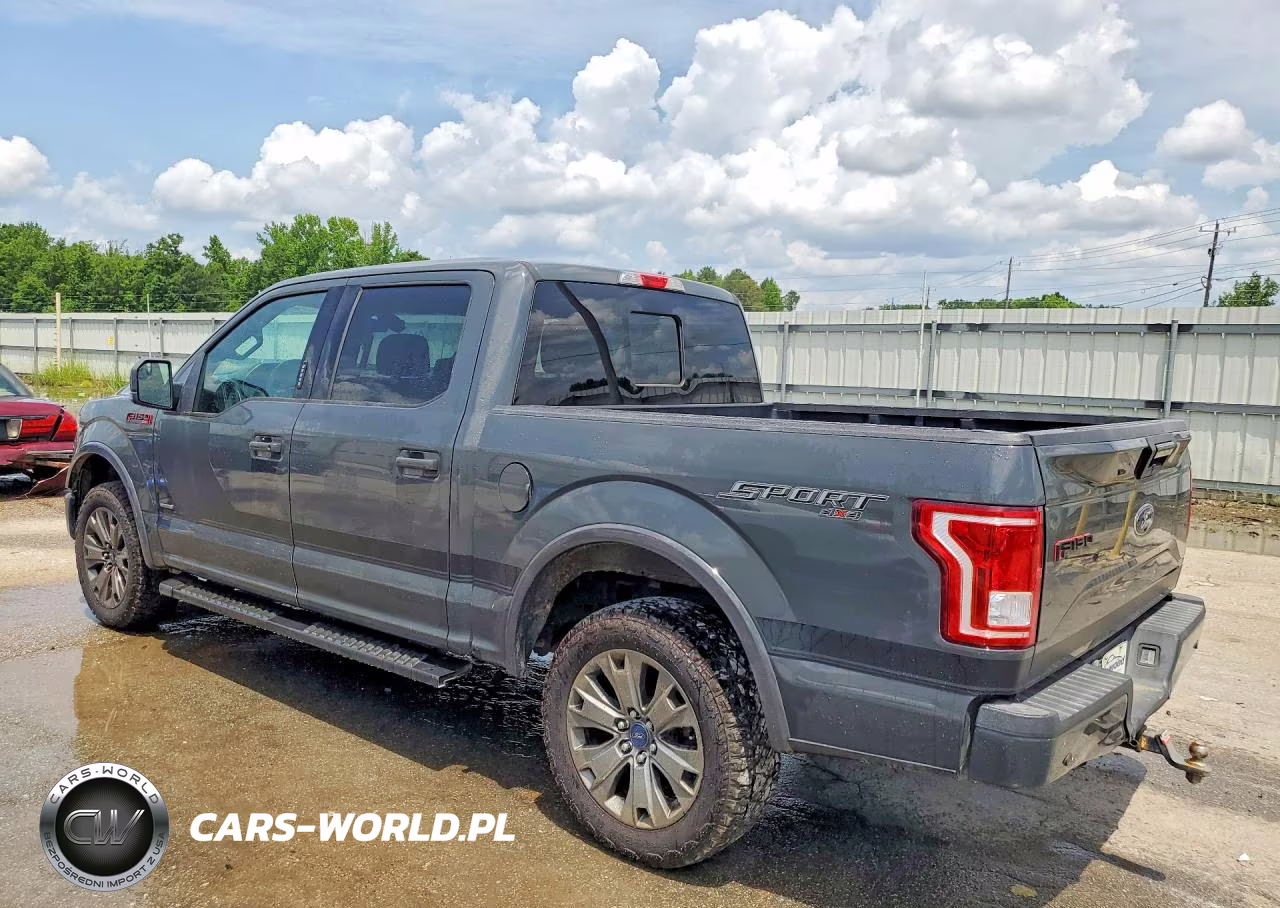 2016 Ford F150 Supercrew VIN:1FTEW1EP3GFC99359 - 2