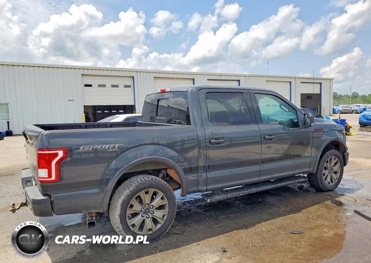2016 Ford F150 Supercrew VIN:1FTEW1EP3GFC99359 - 3