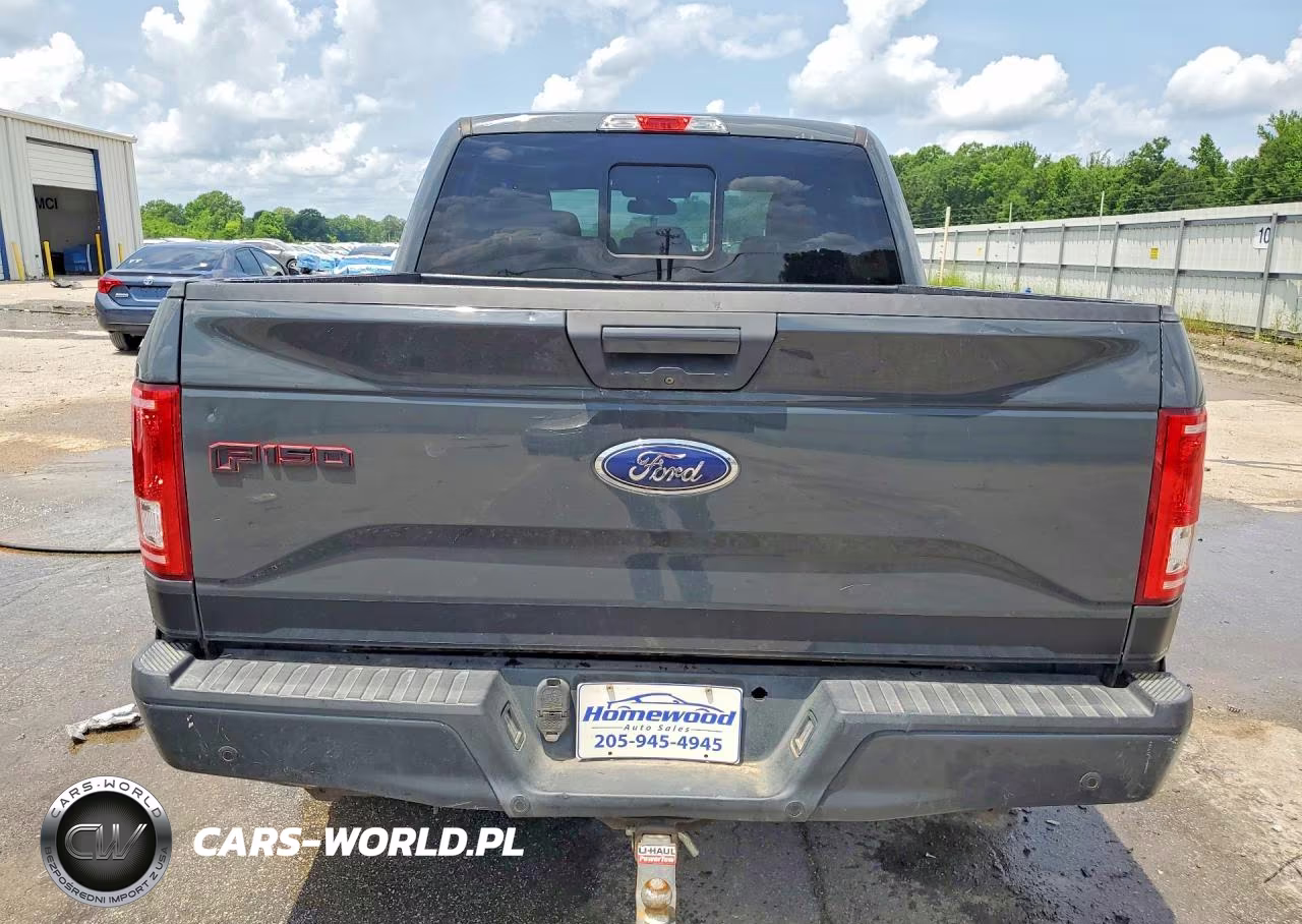 2016 Ford F150 Supercrew VIN:1FTEW1EP3GFC99359 - 6