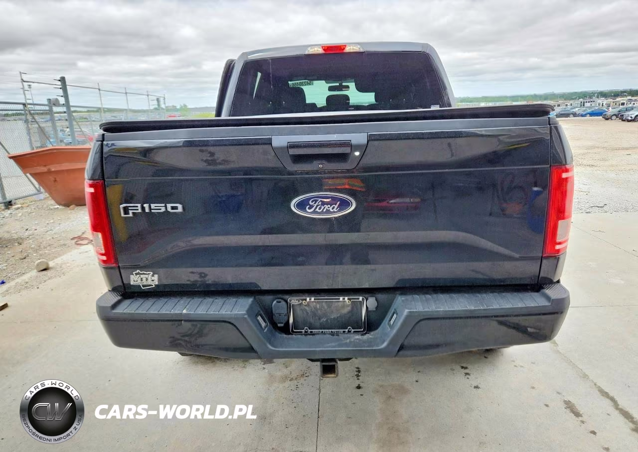 2016 Ford F150 Supercrew VIN:1FTEW1EGXGFB56795 - 6