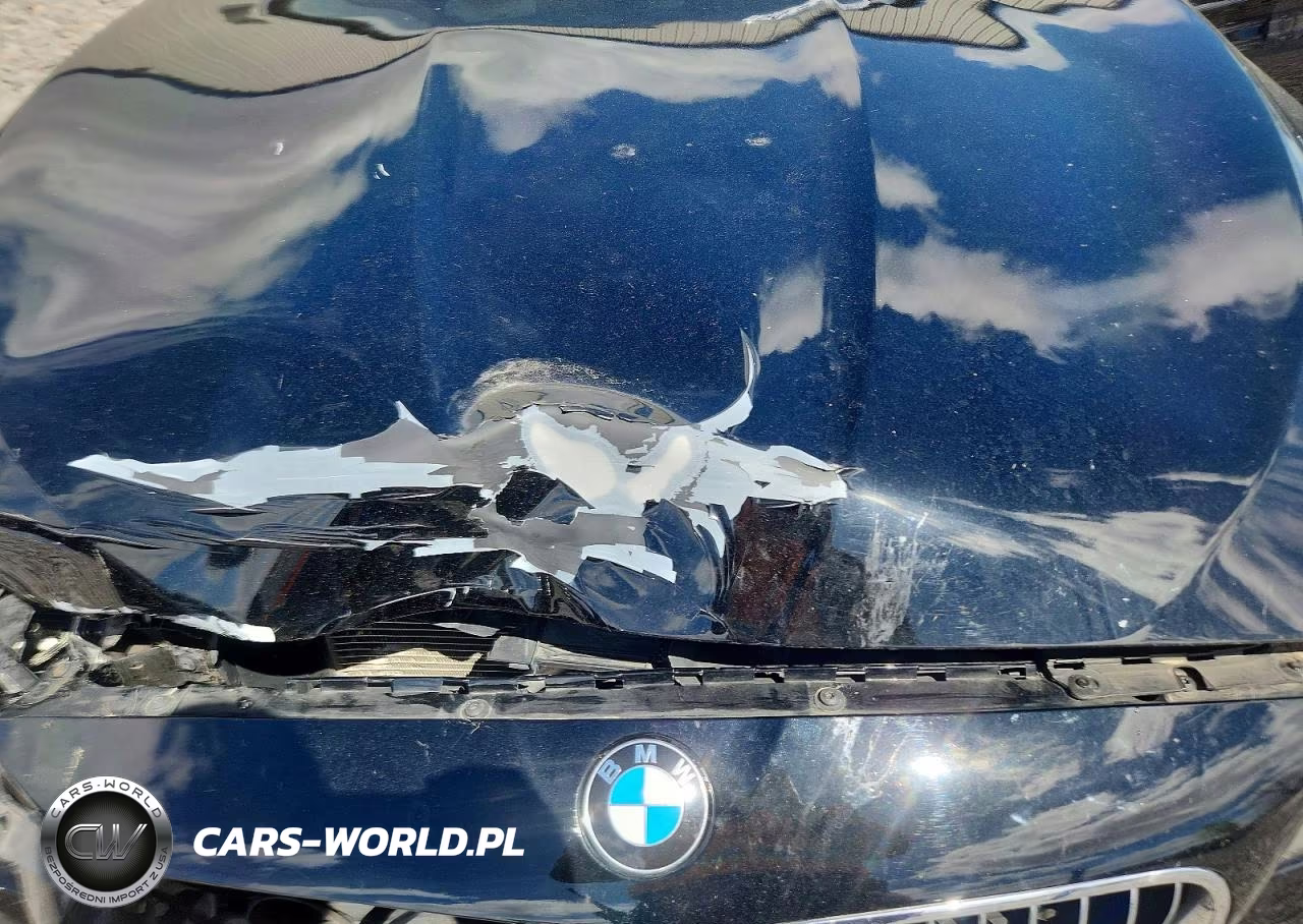 2014 BMW 528 Xi VIN:WBA5A7C58ED614147 - 11