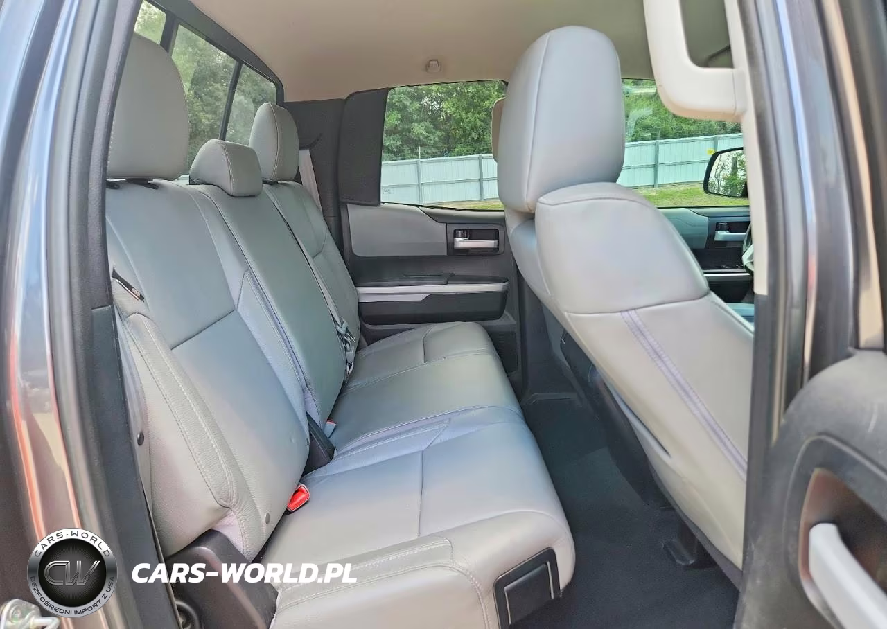 2017 Toyota Tundra Double Cab Limited VIN:5TFSW5F16HX229080 - 10