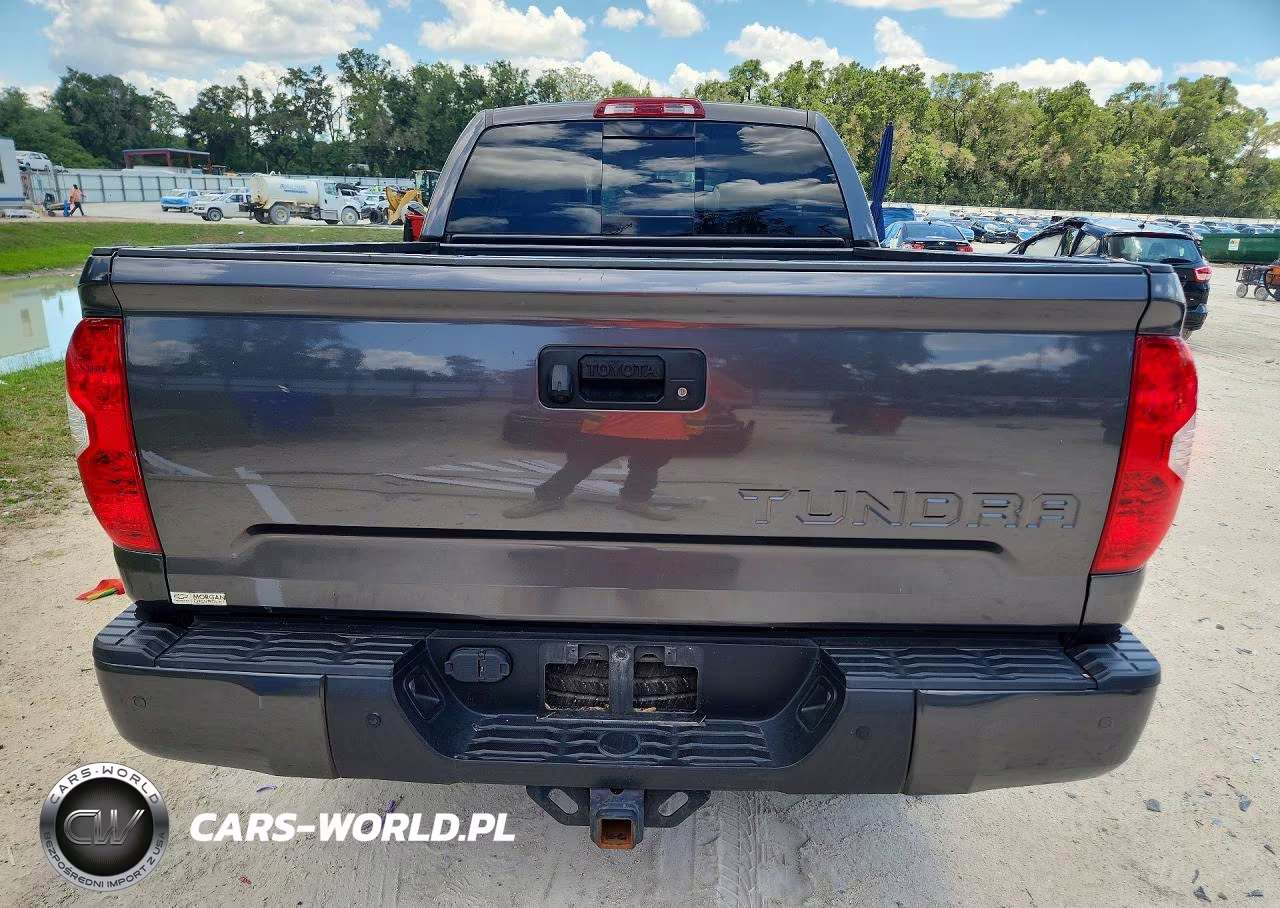 2017 Toyota Tundra Double Cab Limited VIN:5TFSW5F16HX229080 - 6