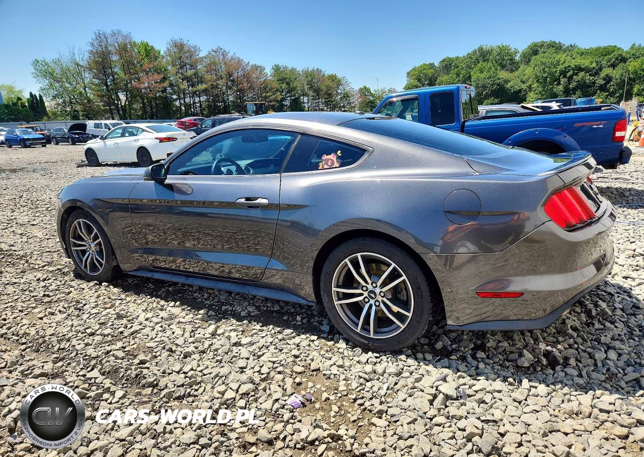 2017 Ford Mustang VIN:1FA6P8TH8H5295679 - 2