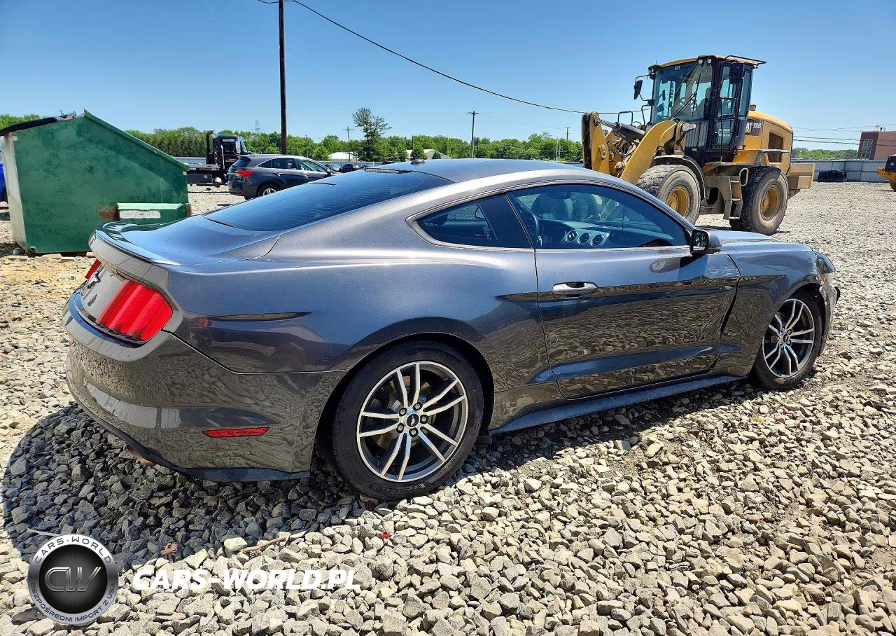 2017 Ford Mustang VIN:1FA6P8TH8H5295679 - 3