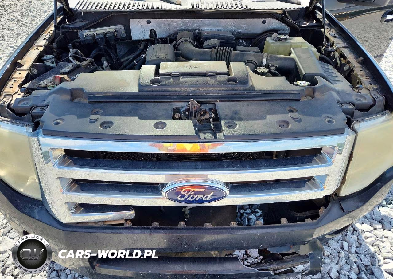 2009 Ford Expedition Xlt VIN:1FMFU15549LA02348 - 12