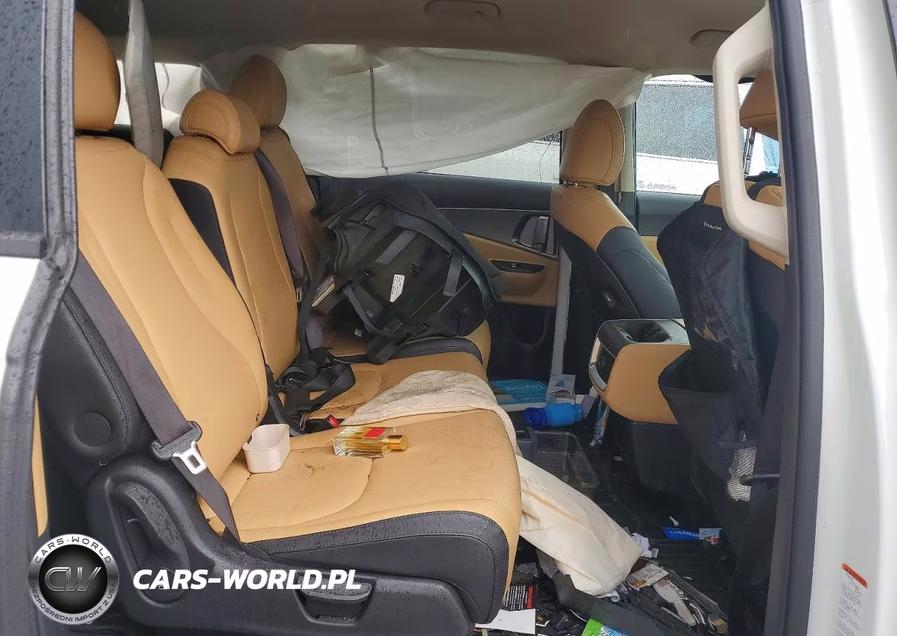 2022 Kia Carnival Lx VIN:KNDNB4H3XN6170196 - 11