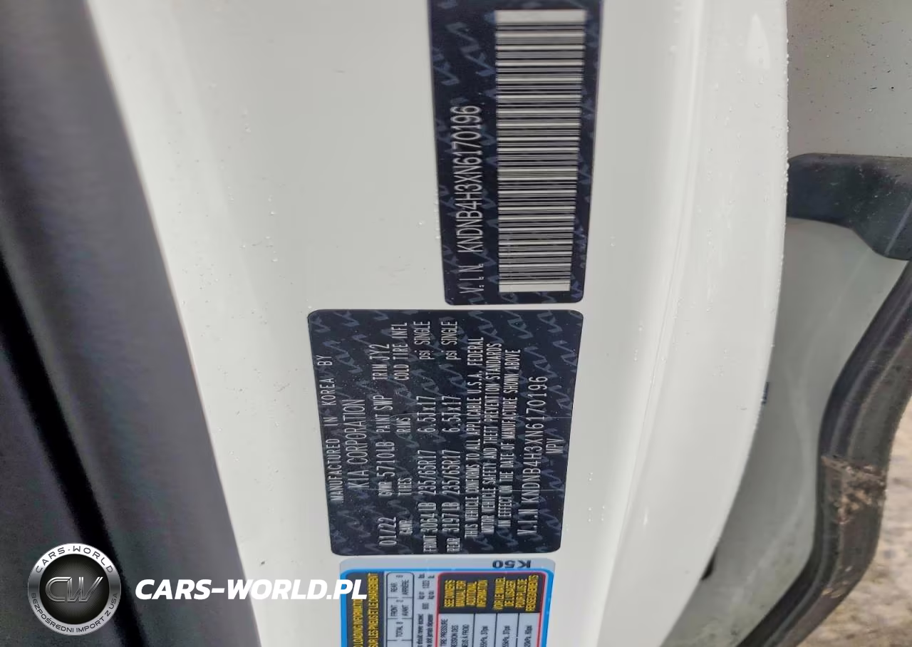 2022 Kia Carnival Lx VIN:KNDNB4H3XN6170196 - 13