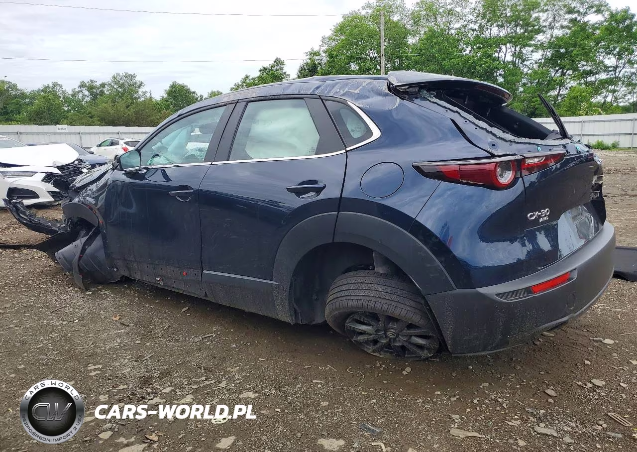 2023 Mazda Cx-30 VIN:3MVDMBAM4PM532134 - 2