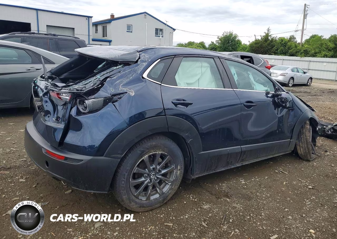 2023 Mazda Cx-30 VIN:3MVDMBAM4PM532134 - 3
