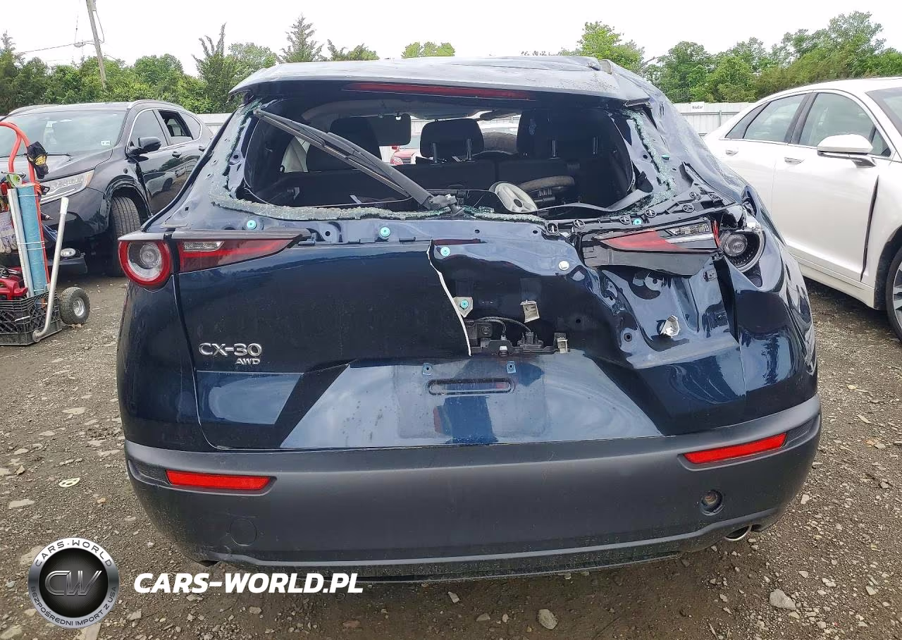 2023 Mazda Cx-30 VIN:3MVDMBAM4PM532134 - 6