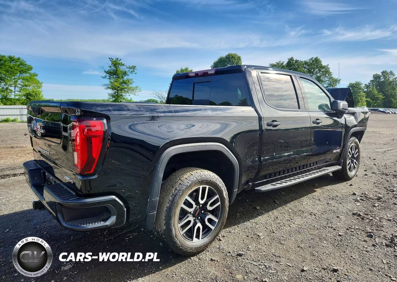 2025 GMC Sierra K1500 At4 VIN:3GTUUEEL8SG143816 - 3