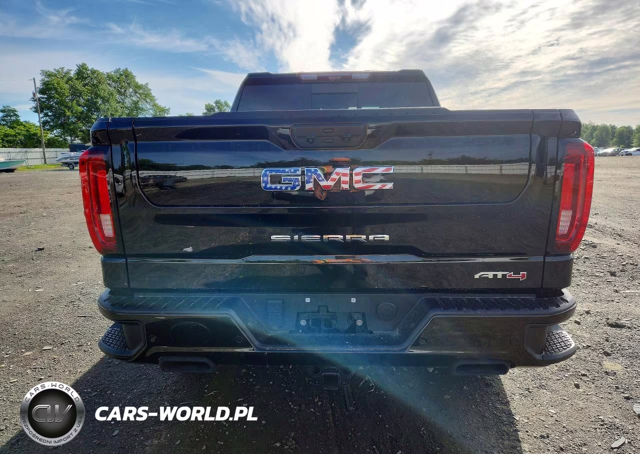 2025 GMC Sierra K1500 At4 VIN:3GTUUEEL8SG143816 - 6