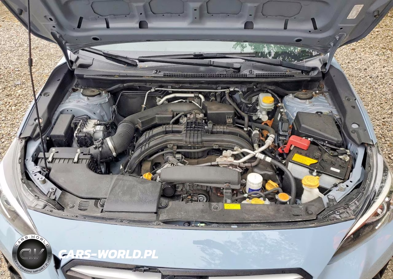 2019 Subaru Crosstrek VIN:JF2GTABC8K8312317 - 11
